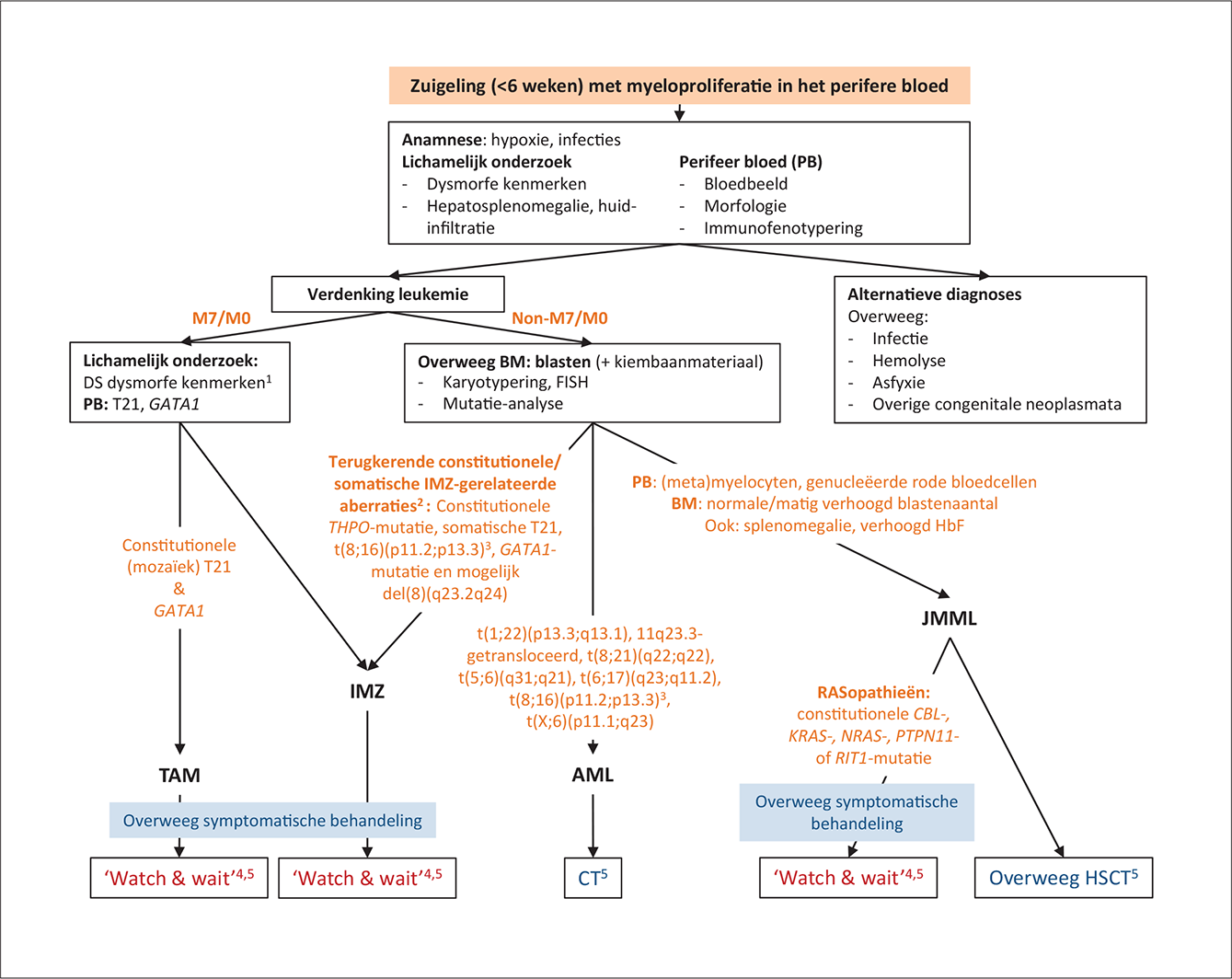 IMZ: An Explanation of the Consensus Guideline for Management of Non-Down Syndrome Neonates with Myeloproliferative Disease on behalf of the I-BFM AML Study Group and the EWOG-MDS