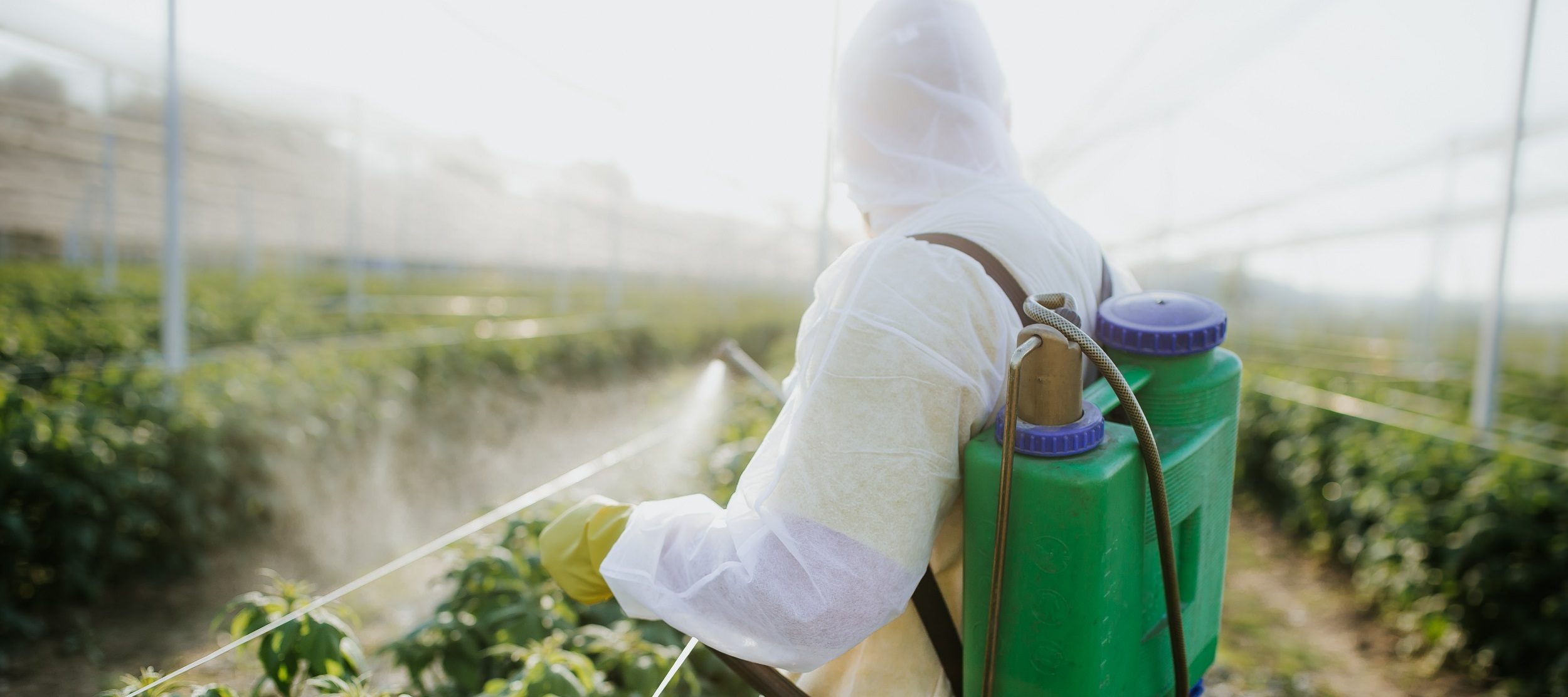 Pesticiden Hebben Slechte Invloed Op Diffuus Grootcellig B-cellymfoom ...